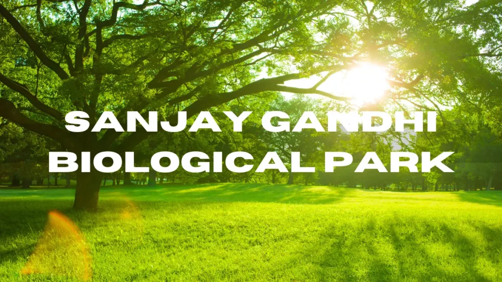 Things to do in Patna: Sanjay Gandhi Biological Park