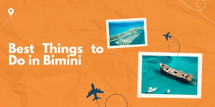 Best Things to Do in Bimini