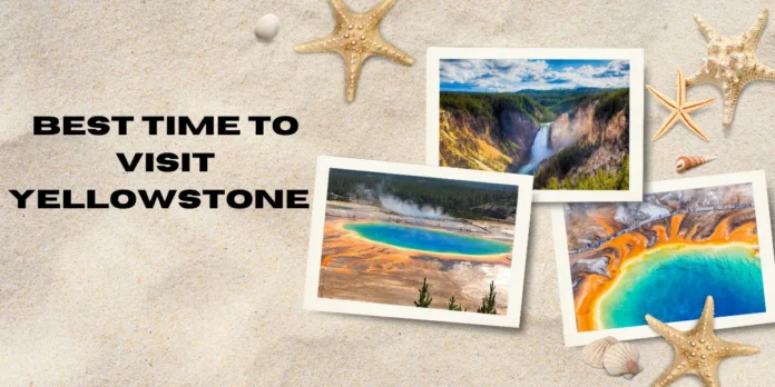 Best Time to Visit Yellowstone and Things to Do in Yellowstone