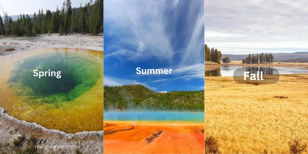 Visit the Perfect Seasons of Yellowstone