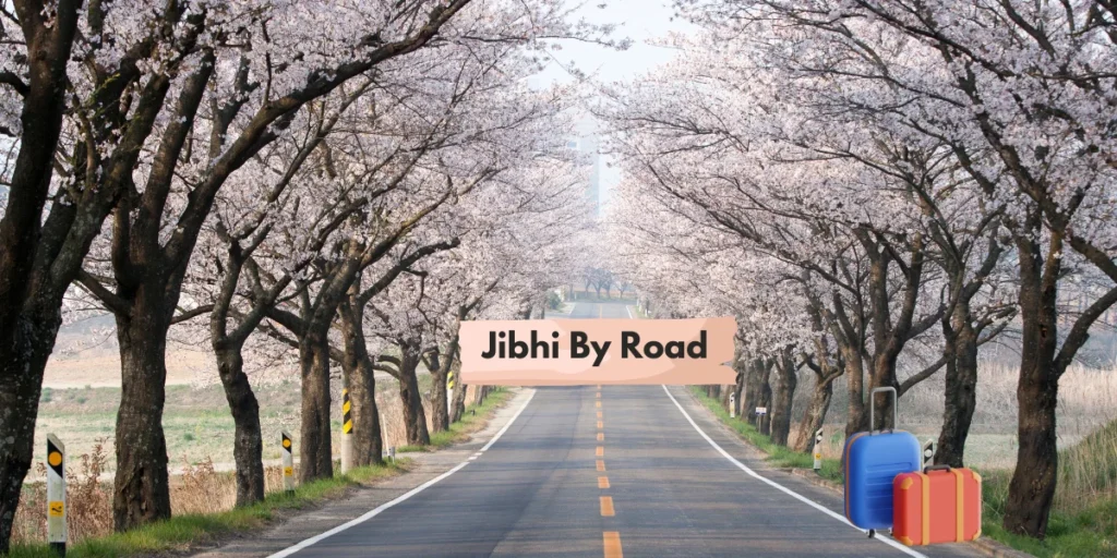 Jibhi By Road 