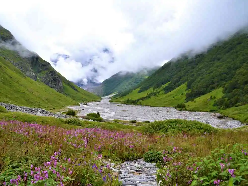 The Valley of Flowers Trek