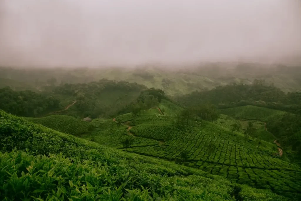 Tribal Trails of Northeast India