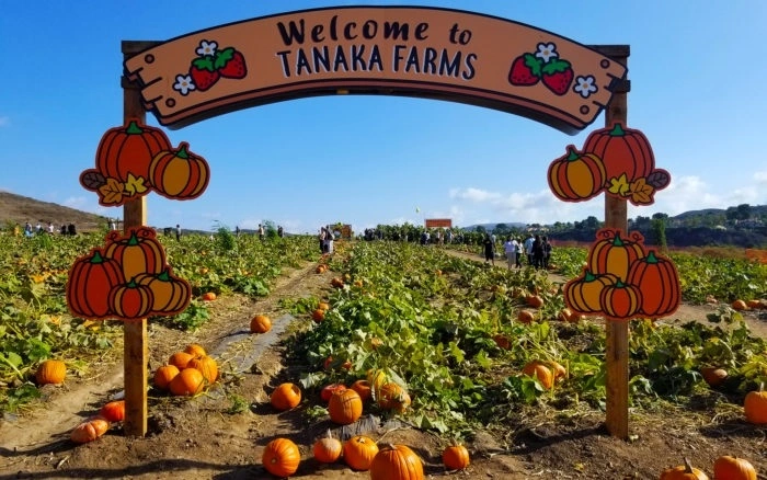 Tanaka Farms