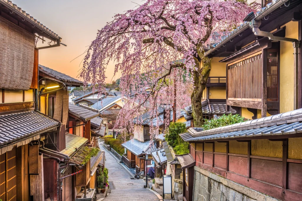 Best Time To Visit Japan Month-by-Month Guide