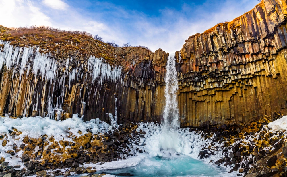 Visit Iceland in March (Annual Beer festival)