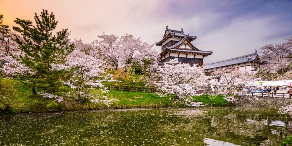 Visiting Japan in Spring