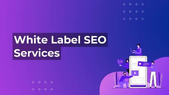 Deliver Tailored SEO Strategies for Clients Using White Label Services