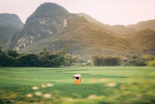 Vietnam tour packages from India