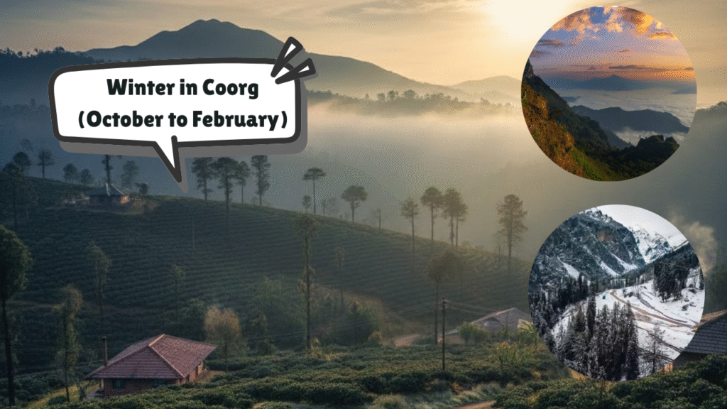 Best Time to Visit Coorg