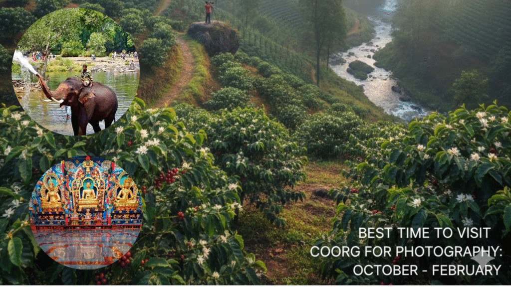Best Time to Visit Coorg