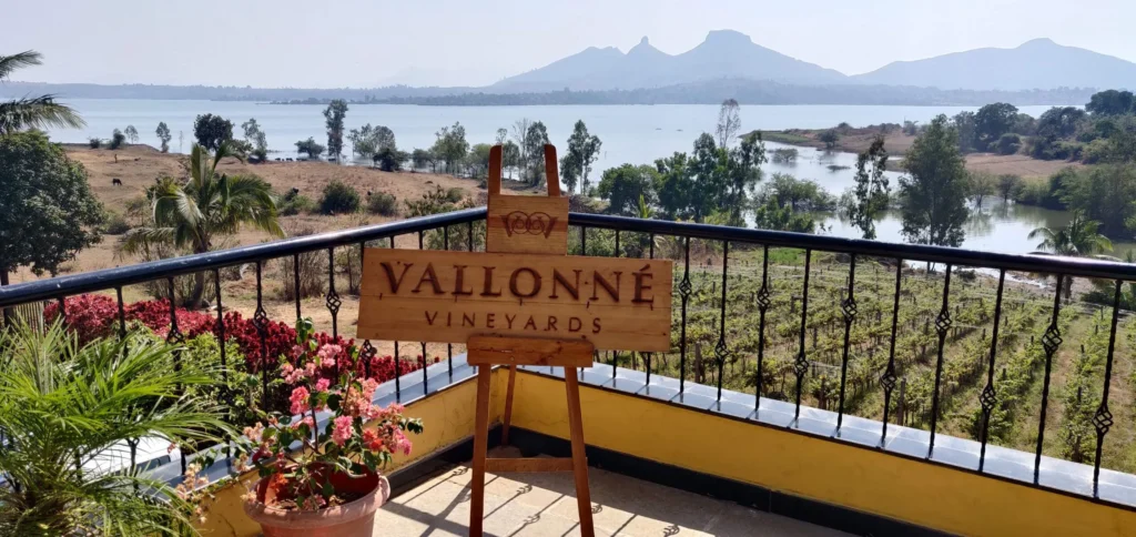 Vallonne Vineyards