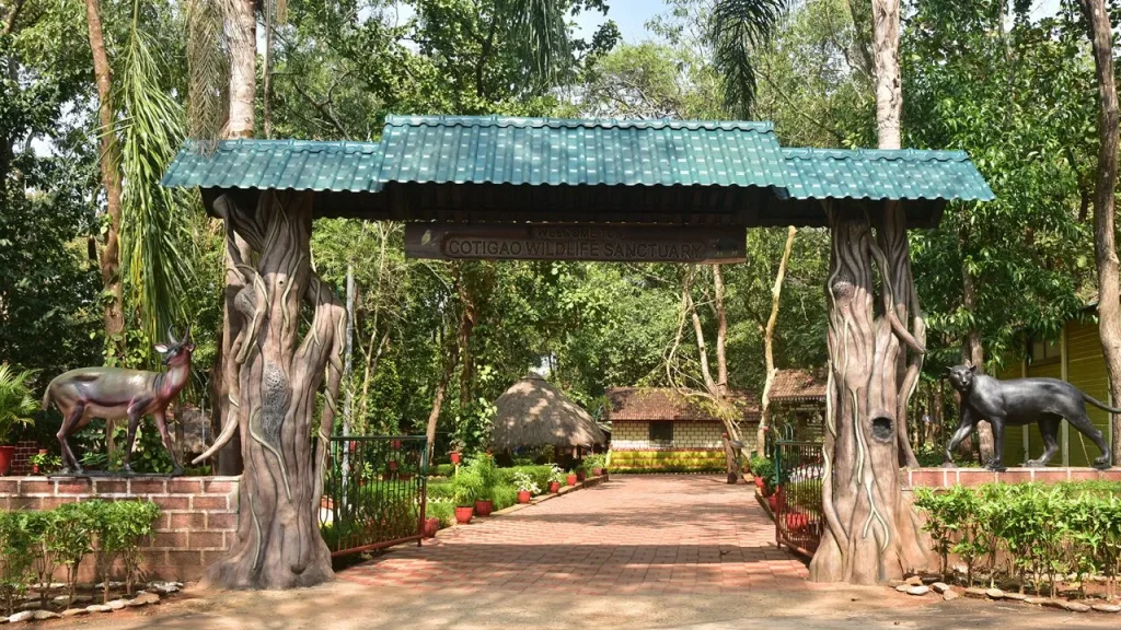 cotigao wildlife sanctuary