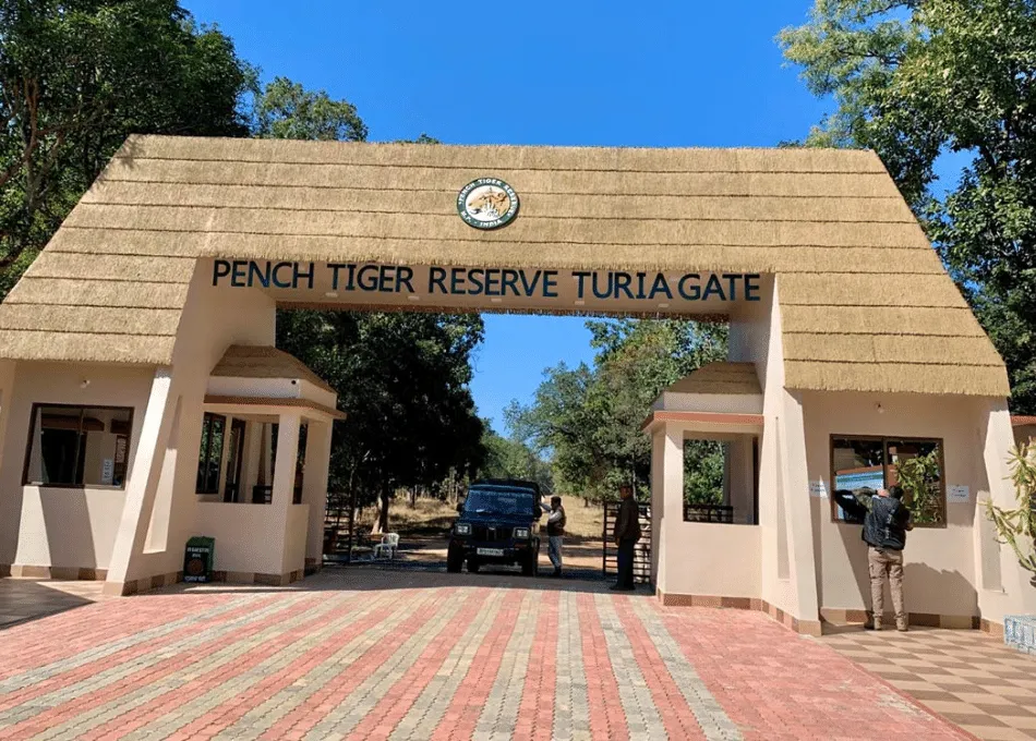 pench tiger reserve