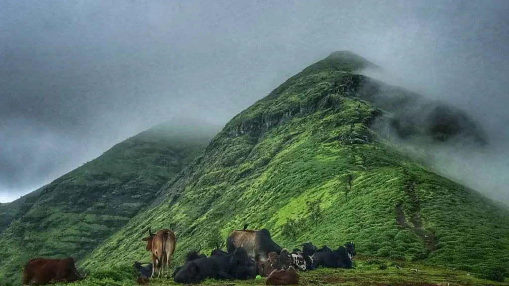 Brahmagiri Hill