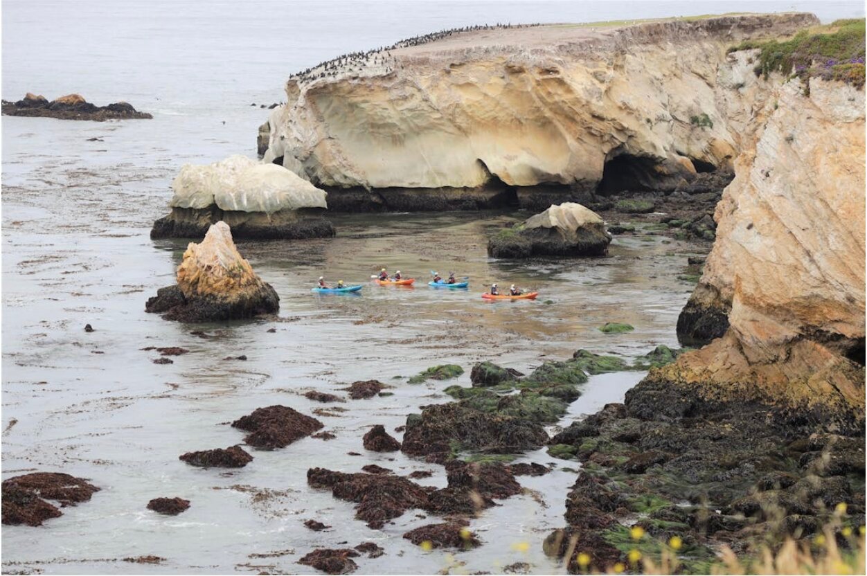 Coastal Adventures
